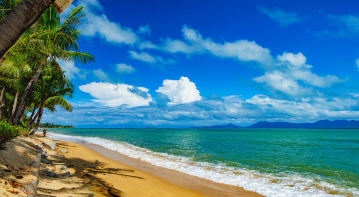 Der ruhige Maenam Beach lädt mit seinem flachen Wasser und Palmenschatten zum Entspannen ein. Foto: sonatalitravel/Adobe Stock