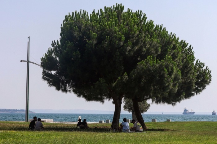 Menschen suchen während einer Hitzewelle in Thessaloniki Schutz im Schatten eines Baumes. Foto: EPA/Nikos Arabatzis