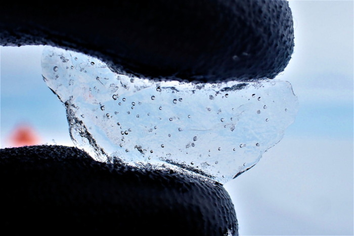 Ein Expeditionsteilnehmer hält Eis mit eingeschlossenen Luftblasen zwischen den Fingern (Aufnahmedatum unbekannt). Foto: University Of Cambridge/Britis/dpa