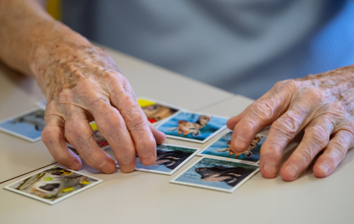 Eine Bewohnerin eines Altenheims spielt auf einer Pflegestation das Spiel «Memory» und legt Kartenpaare zusammen. Lücken im Kurzzeitgedächtnis im mittleren Alter können frühe Anzeichen einer späteren Demenz sein. Foto: Sven Hoppe/dpa