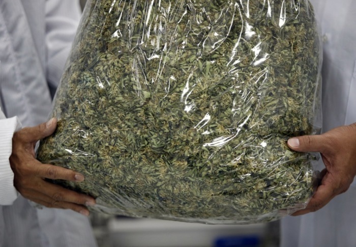 Die Behörden beschlagnahmten 287 Kilogramm Cannabis, das als Kaffeebohnen getarnt für den Export nach Deutschland und Großbritannien bestimmt gewesen sein soll. Archivbild: epa/Rungroj Yongrit