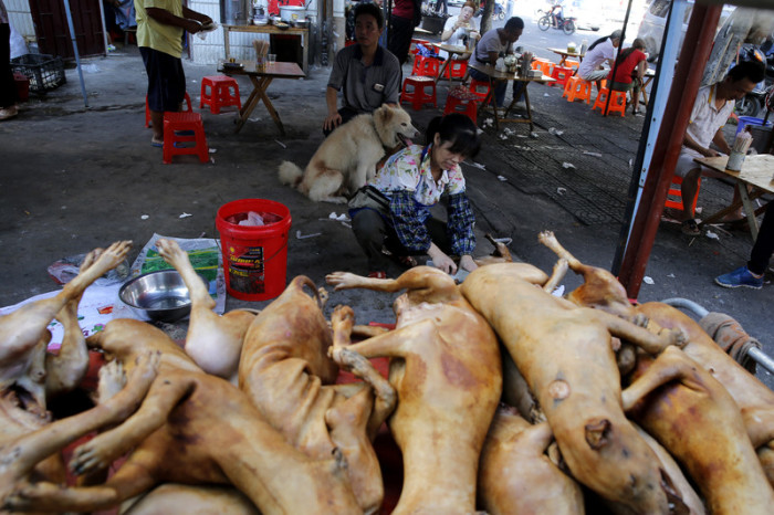  Eine Szene aus dem vergangenen Jahr vom Hundefleisch-Festival in Yulin, China. Foto: epa/Wu Hong