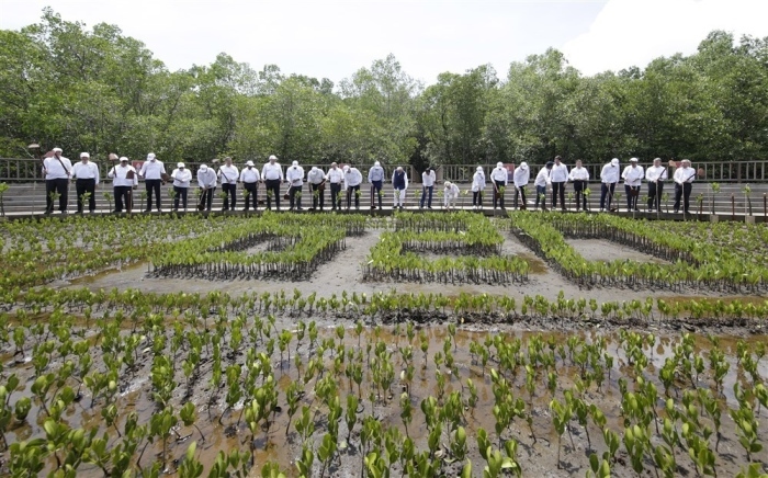 Staats- und Regierungschefs der G20 posieren für Fotos während einer Mangrovenpflanzaktion im Tahura Ngurah Rai Mangrovenwaldpark als Teil des G20-Gipfels in Bali. Foto: epa/Mast Irham