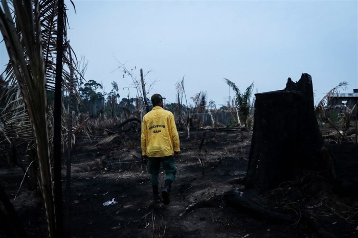 Die Feuerwehr inspiziert ein von Waldbränden betroffenes Gebiet im Amazonasgebiet in der Nähe von Apui, Brasilien. Foto: epa/Fernando Bizerra Jr.