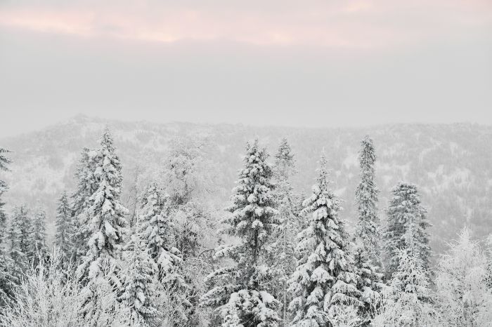 Foto: Unsplash/Getty Images