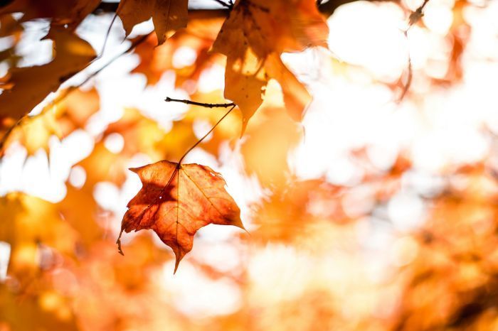 Foto von Matt auf Unsplash