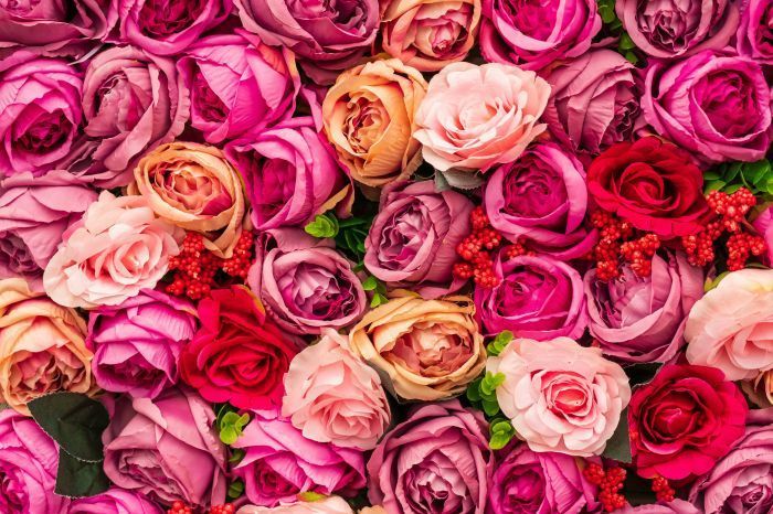 Foto von Nick Fewings auf Unsplash