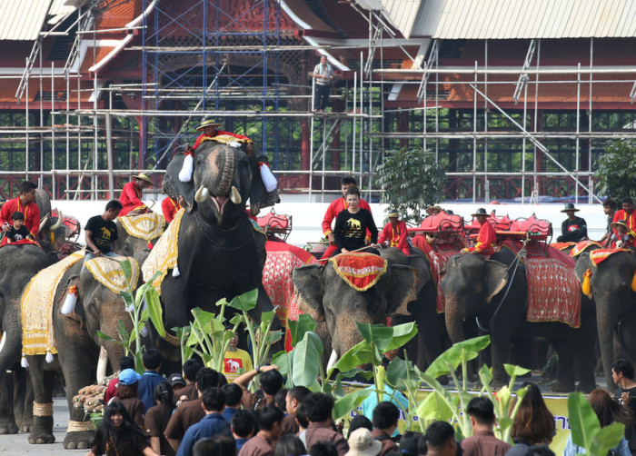 Nationale Feier zum Elefantentag in Thailand. Foto: epa/NARONG SANGNAK