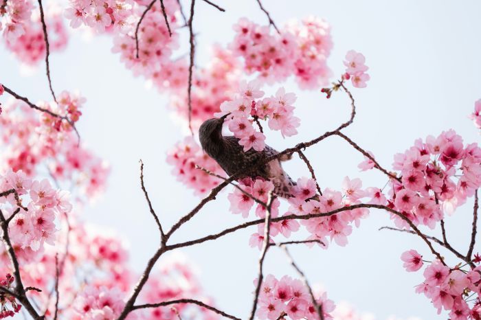 Foto: Unsplash/Thomas Boxma