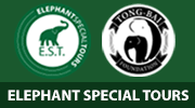 Elephant Special Tours nahe Chiang Mai. Elefanten hautnah erleben.